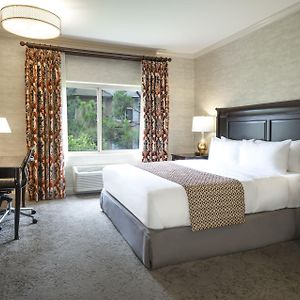 Suite con Cama King
